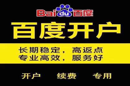 SEM推广优化实战：案例分析与启示